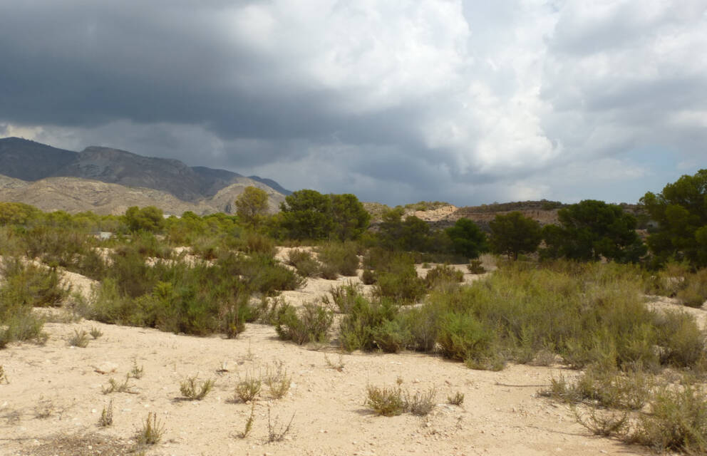 Crevillent, Costa Blanca  Spain