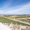 Algorfa,   Spain