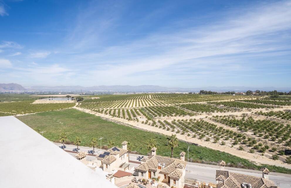 Algorfa,   Spain