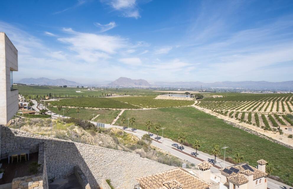 Algorfa,   Spain