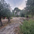Relleu, Costa Blanca  Spain