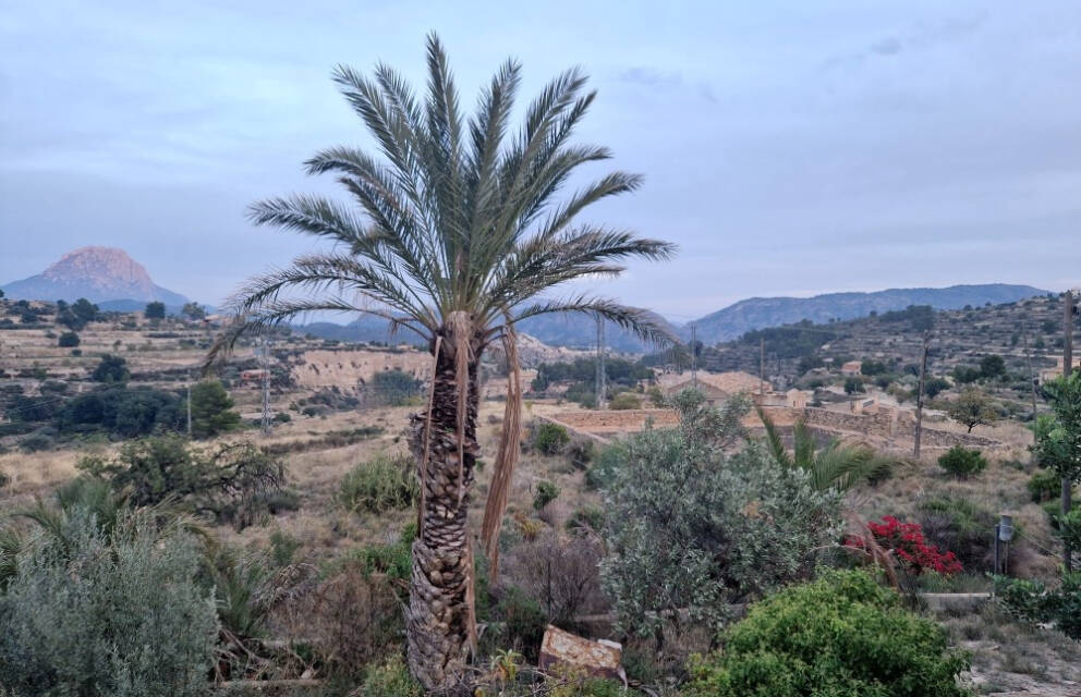 Relleu, Costa Blanca  Spain